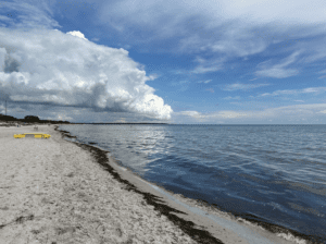 Lomma strand med sand, hav och öppen horisont i mjukt ljus