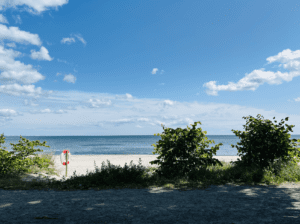 Lomma strand med sand, hav och öppen horisont i mjukt ljus
