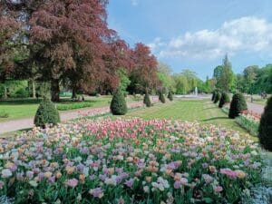 Stadsparken i Lund med grönska, öppna gräsytor och lugn parkmiljö
